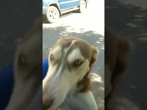 en colonia el palmar la paz bcs