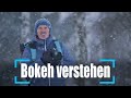 Bokeh Effekt In Der Fotografie Unscharfer Hintergrund Bei Portraits