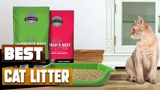 Cat Litter : Which are the Best Cat Litters in 2026?