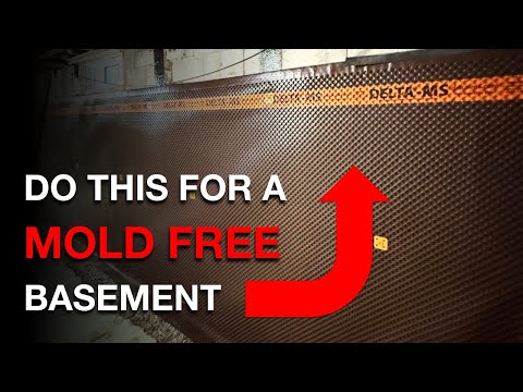 Essentials of a MOLD FREE Basement Renovation (Tips You CAN'T Ignore)
