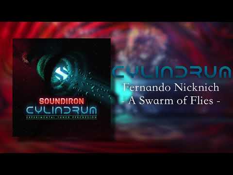 Cylindrum | Fernando Nicknich - A Swarm of Flies