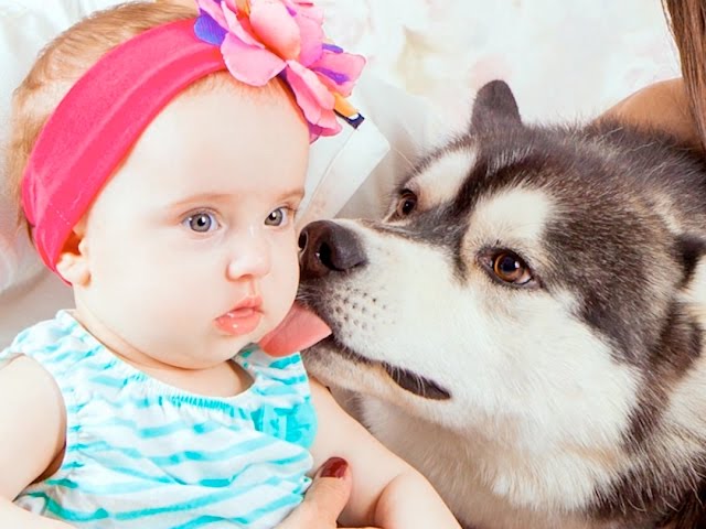 Мастер-класс от фотохудожника