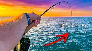 Saltwater Fly Fishing North Carolina