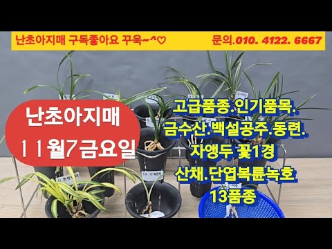 유튜브 썸네일