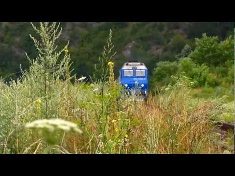 Trains in Bulz - Trenuri in Bulz (22 07 2012