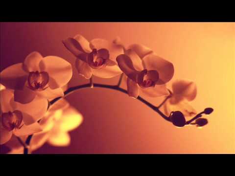 Bobby Rock feat  Cimo Fränkel  -  New Life