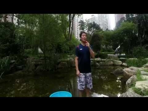 HD ice bucket challenge in Seoul, Korea