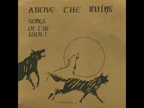 Above the ruins - Roses