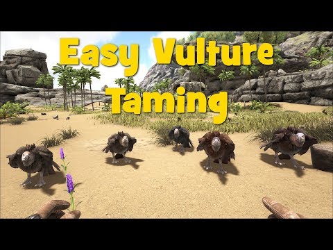 Ark - Easy Vulture Taming!