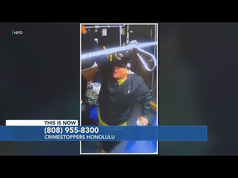 Crime Roundup: Man accused of using 'vulgar and sexually explicit' language to OTS bus driver