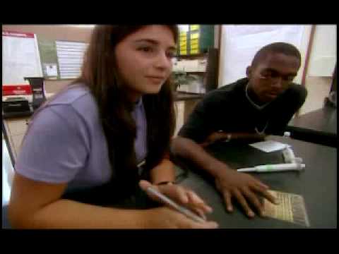 Race - the Power of an Illusion