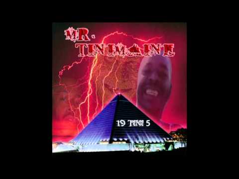 Mr Tinimaine - Voices in my head