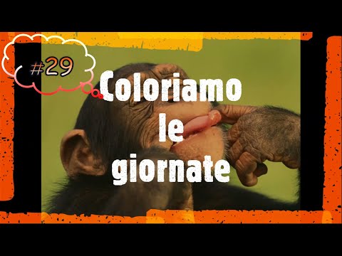 Imitiamo le andature degli animali 2° Parte - 29 -