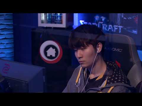 HomeStory Cup XIX - ShowTime vs TYTY [PvT] - Group C Day 2 | Starcraft 2