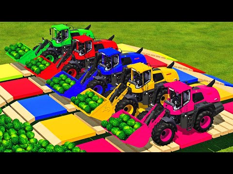 LOAD And TRANSPORT WATERMELONS WITH TRACTORS And CLAAS WHEEL LOADERS - Farming Simulator 2022