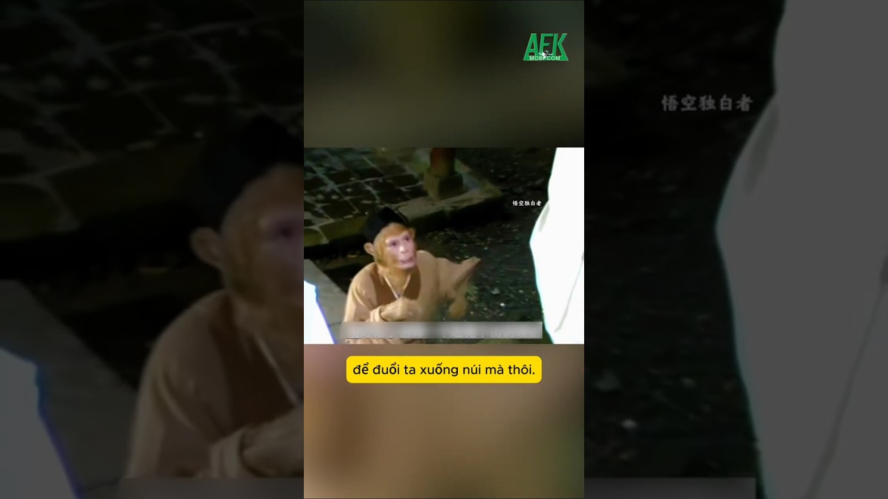 Sự thật đằng sau việc Bồ Đề Tổ Sư đuổi Tôn Ngộ Không xuống núi trong Tây Du Ký