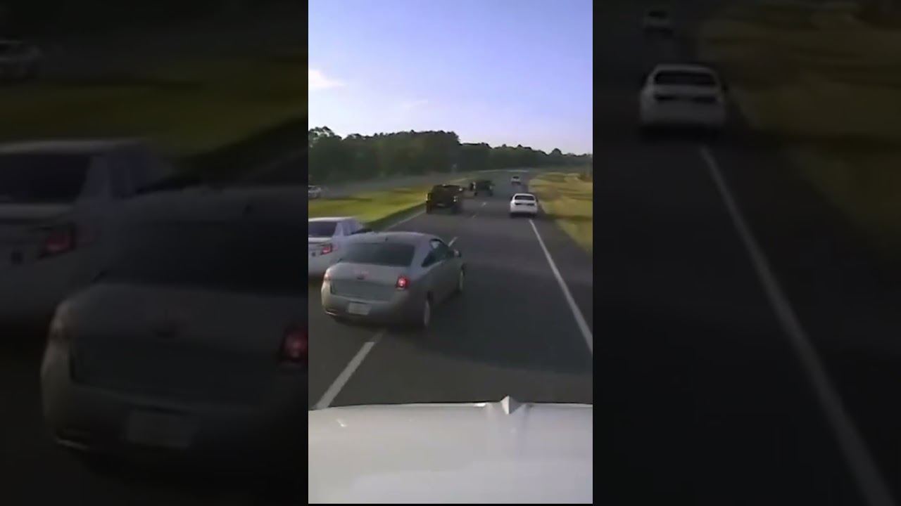 Turtle on highway causes multi-car crash in Florida