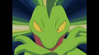 Grovyle the cool Pokemon