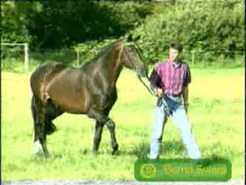 Cor de la Bryere, SF