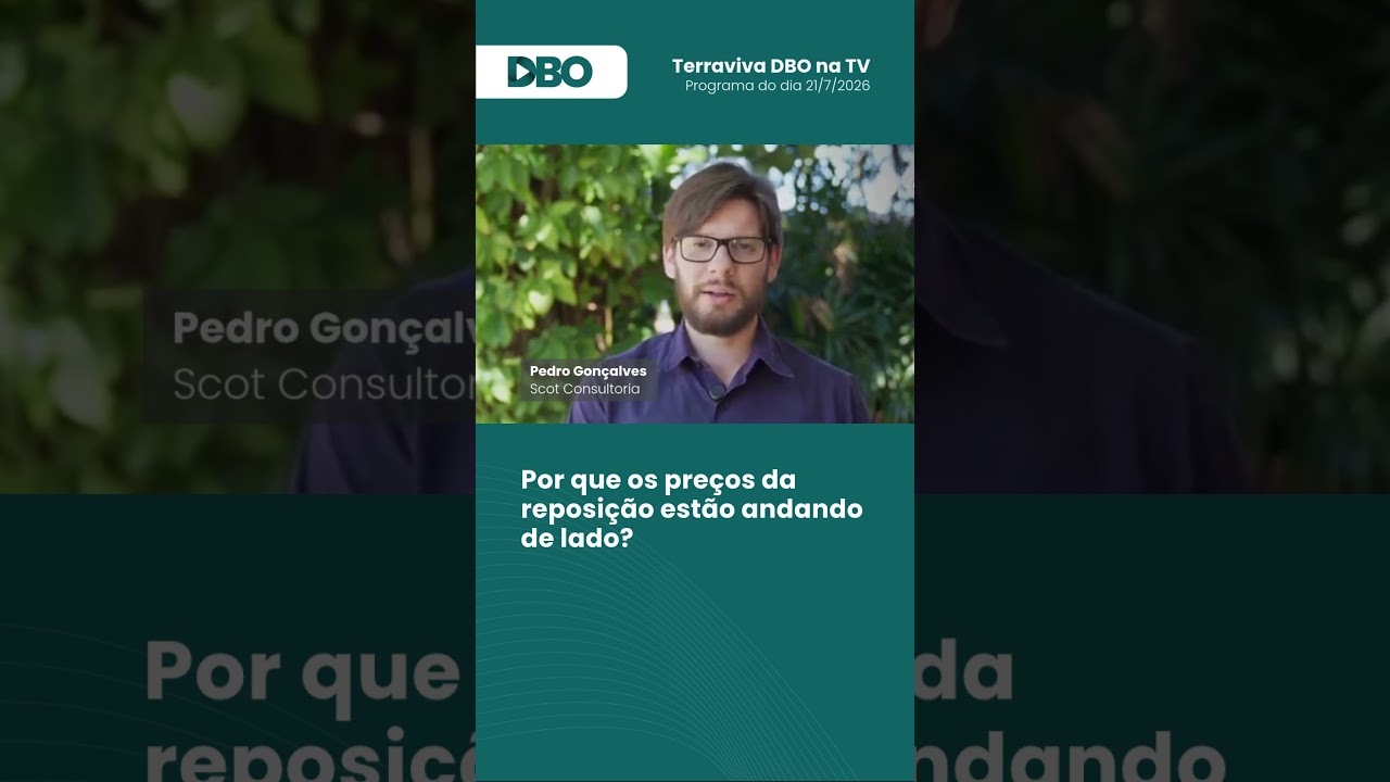 Por que os preços da reposição estão andando de lado?  #pecuária #bezerro