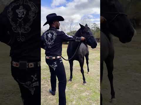 When a Hood Dude own a farm