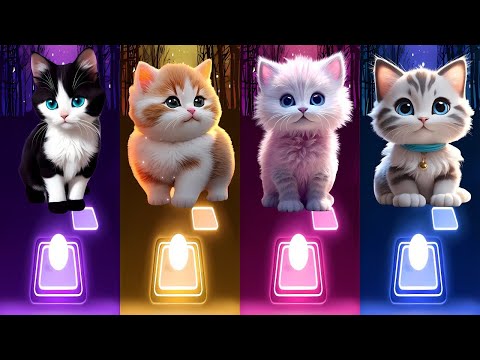 📹 ALL CUTE CATS PT.5 - IMAGINE DRAGONS ENEMY - JISOO FLOWER   SHAKIRA WAKA WAKA - LISA MONEY