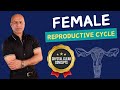 Female Reproductive Cycle | Menstrual Cycle | Hormones