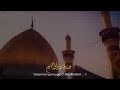Ali Safdar New Nohay 2019