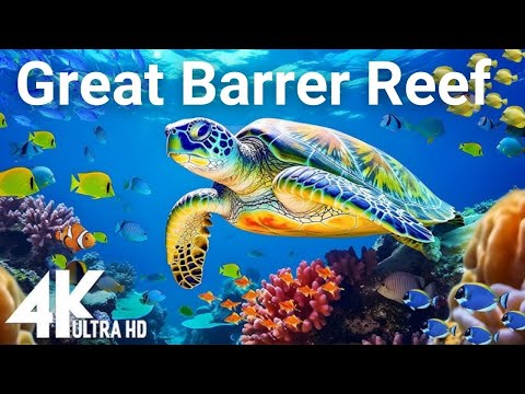 the WORLD'S LARGEST Coral Reef System! The Great Barrier Reef!!