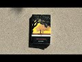 (Part 11) 📕 East of Eden 📕 | Chapter 9 | John Steinbeck