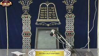 בית המדרש "תורת דוד" ¤ שידור חי ¤ י"ז טבת תשפ"ו (6.1.2026) (מוסדות תורת דוד) - התמונה מוצגת ישירות מתוך אתר האינטרנט יוטיוב. זכויות היוצרים בתמונה שייכות ליוצרה. קישור קרדיט למקור התוכן נמצא בתוך דף הסרטון