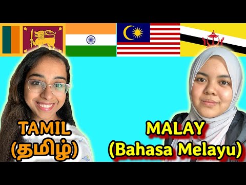 Similarities Between Tamil and Malay