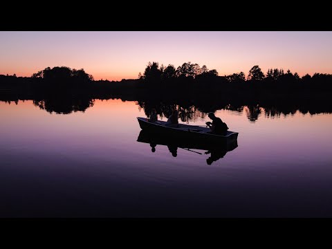 Vidas Bareikis - Pažiūrėk į mane, Mama (my life edition).