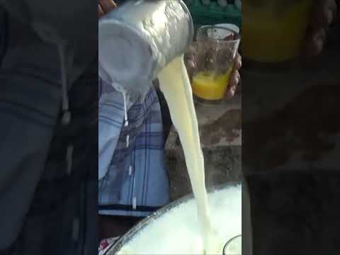 Healthy Food Egg Milk |
