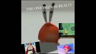 Cover art for THE ONE PIECE IS REAL