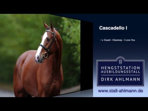 Dirk Ahlmann - Cascadello 1 - Hengstpräsentation 2016