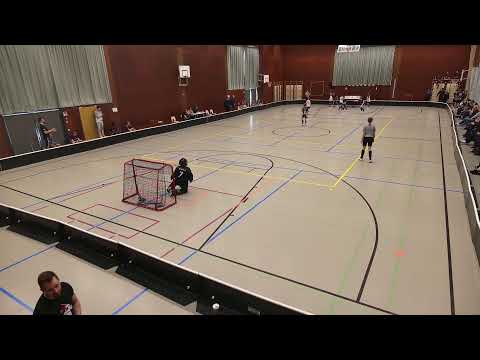 salibandy P11kilpa Nokian KrP - Pirkat Blue