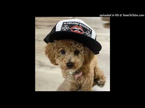 [free for profit] chiptune metalcore type beat (Spidywebmen)