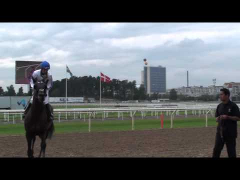 Stockholm Cup International at Täby Gallop Sunday 12th of september
