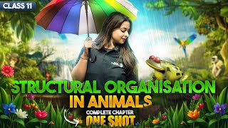 Structural Organization in Animals Class 11 One Shot | NCERT Biology Full Chapter Revision #CbseExam