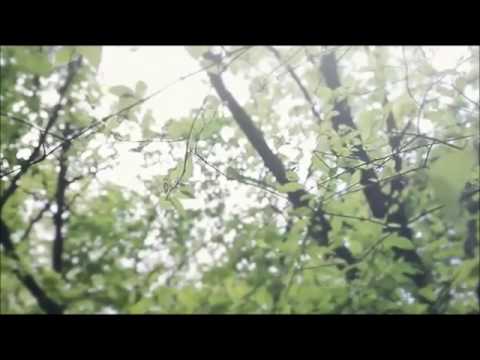 July - 달빛이 저무는 밤 (The Night A Moonlight Cats On)