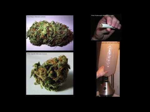 Graham Hancock - The War on Consciousness - Banned TED Talk