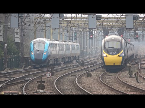 An Afternoon at Preston: Pendos, 397s, 195s, 331, 150s and even some freight. 15 Feb 23