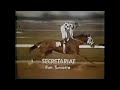The Legendary Secretariat Dominates The Kentucky Derby 1973 - Witness The Epic Full Race!