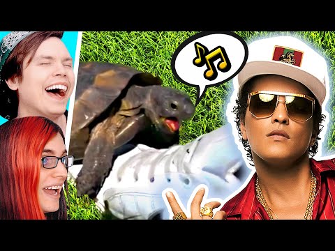 Things That Sound Like MUSIC (w/ Boyinaband)