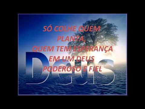 Tempo De Colheita video