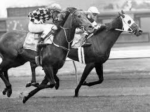 1987 _ 88 Australasian Racing Year Highlights