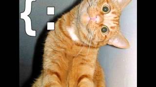 Fountains of Wayne - All Kinds of Time