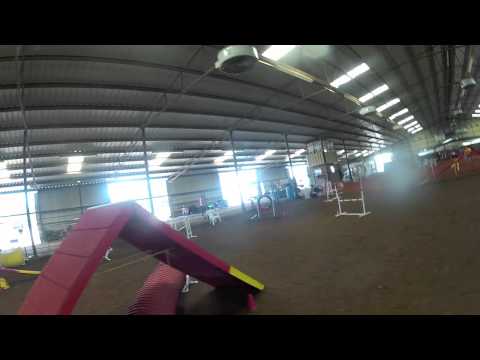 What The Judge Sees - Agility.mov