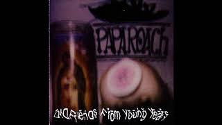 03 Liquid diet - Old Friends From Young Years - Papa Roach